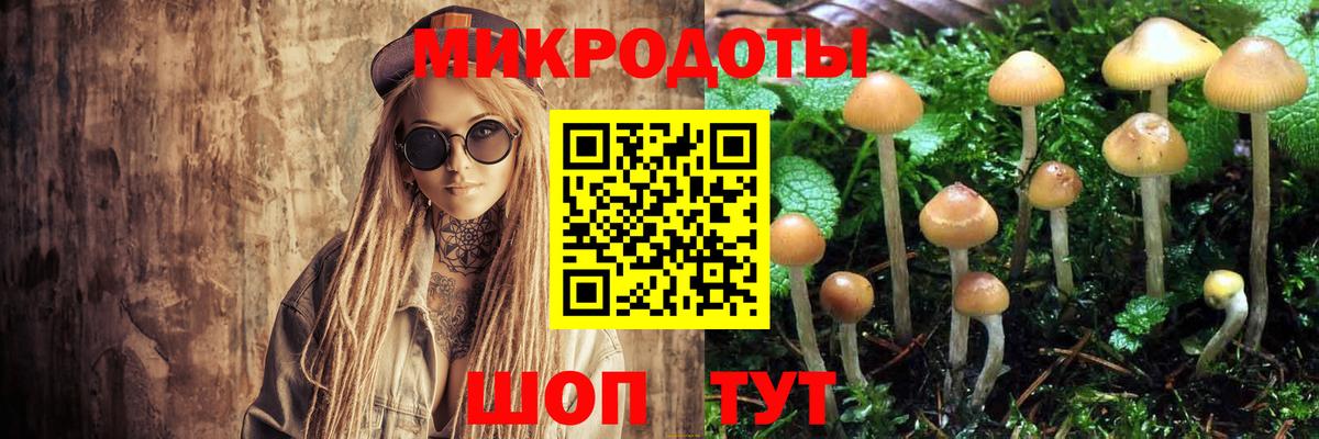 Когалым  Псилоцибиновые грибы Cubensis  Вход с VPN 