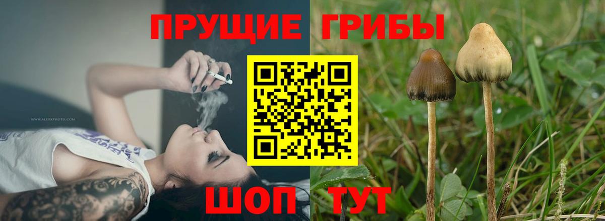 Псилоцибиновые грибы мухоморы Когалым